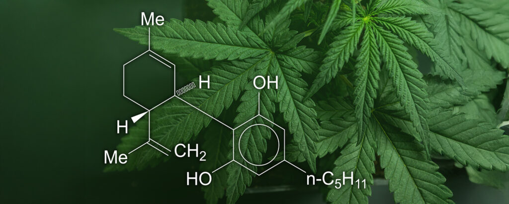 Chemical compound diagram of CBD with some cannabis leaves in the background.