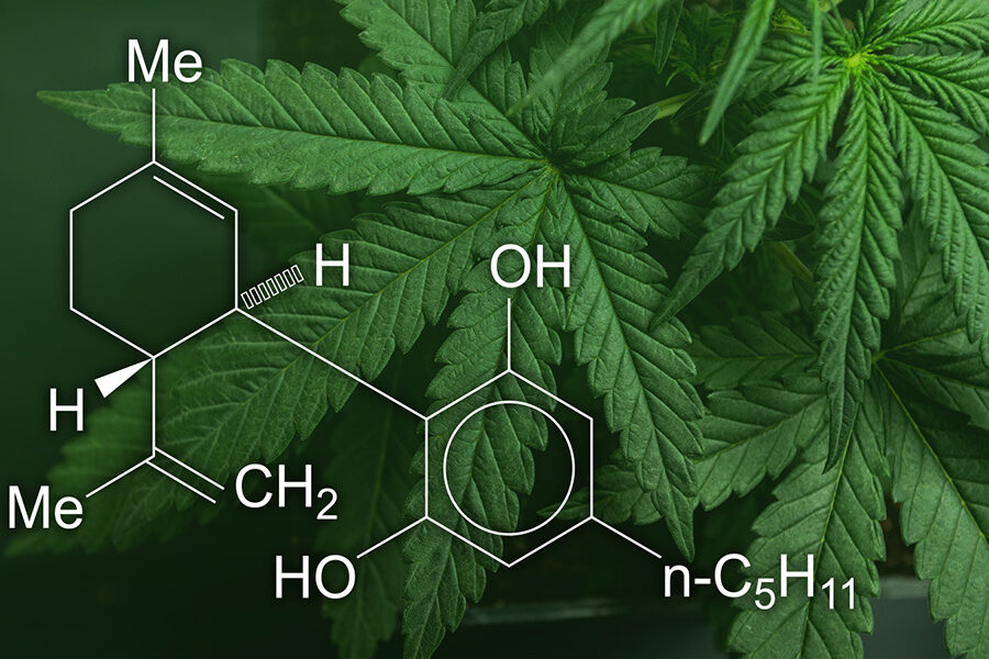 Chemical compound diagram of CBD with some cannabis leaves in the background.