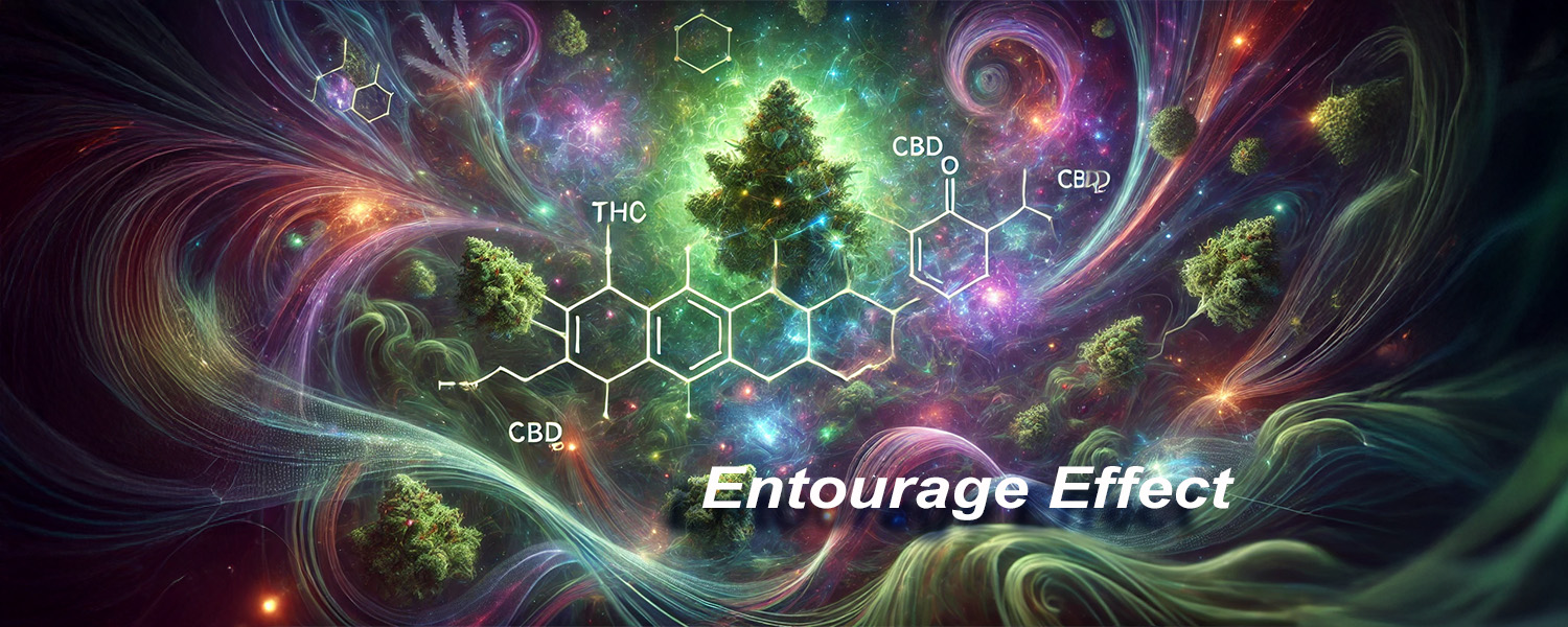 The Entourage Effect: Why Cannabis Works Better in Harmony